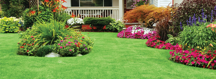 Local Lawn Care Services Weed Control Spring Green Local Lawn Care Services Weed Control Spring Green