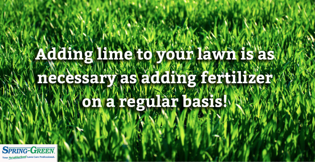 Local Lawn Care Services & Weed Control SpringGreen
